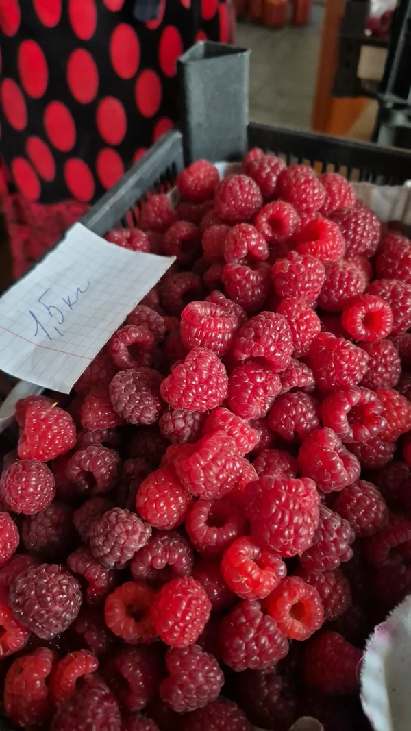 Не указан (продукт в ящике)