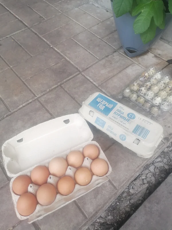 Куриные яйца