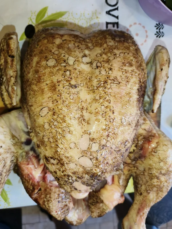 Курица