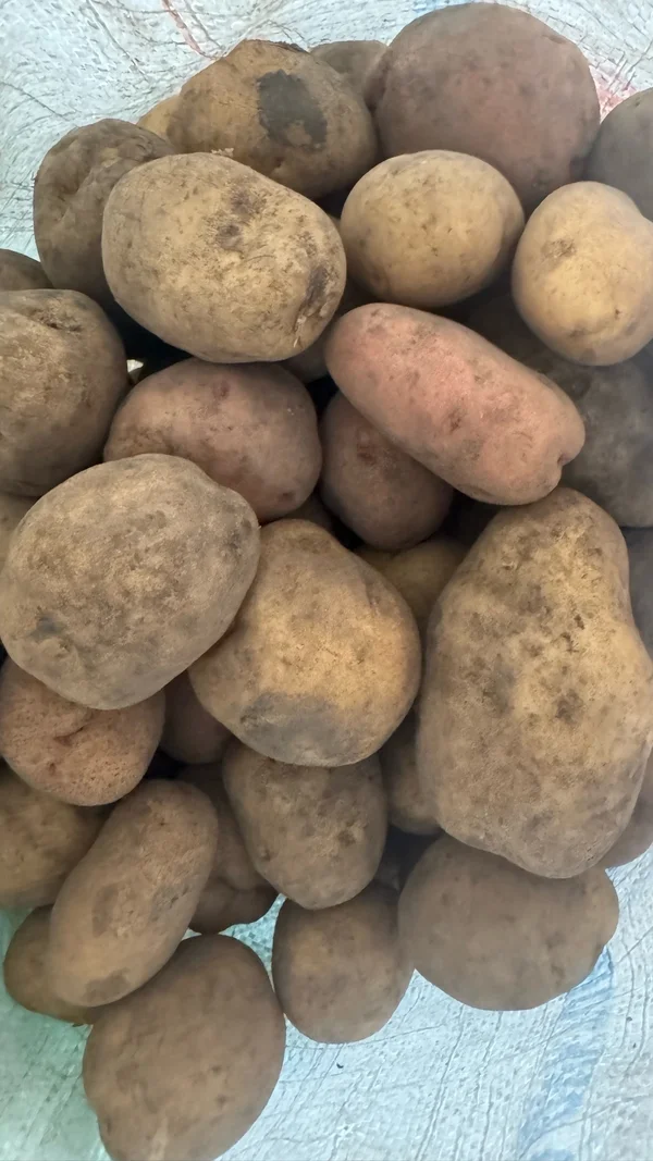 Картофель