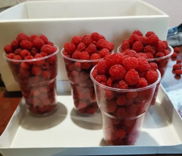 Придонской