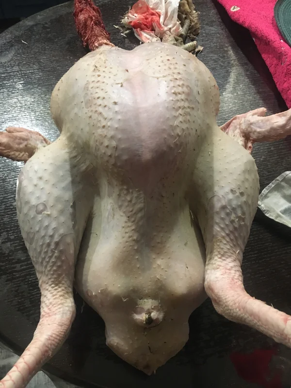 Индейка