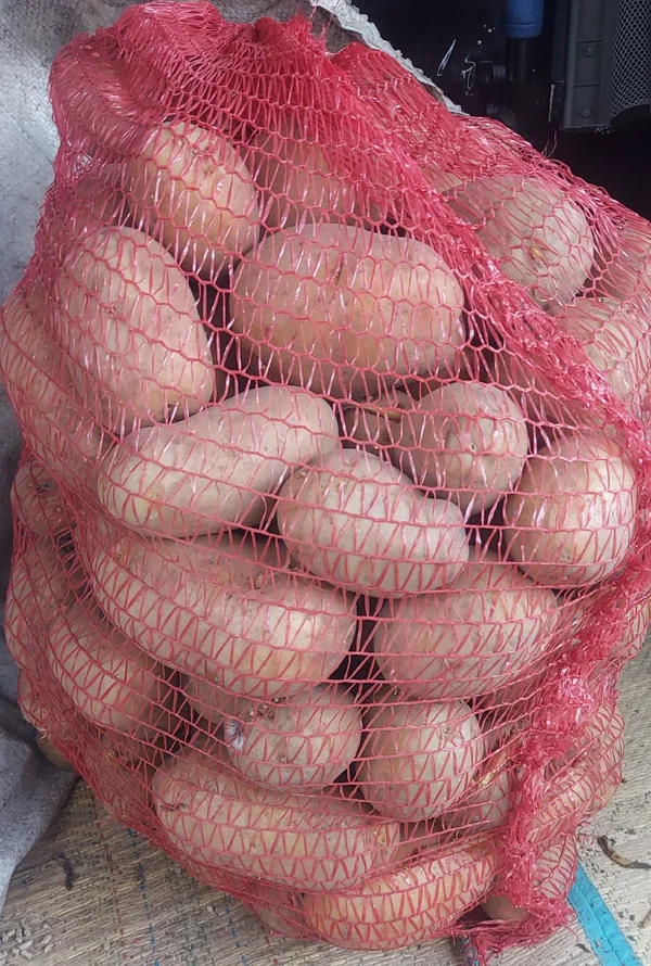 Картофель домашний