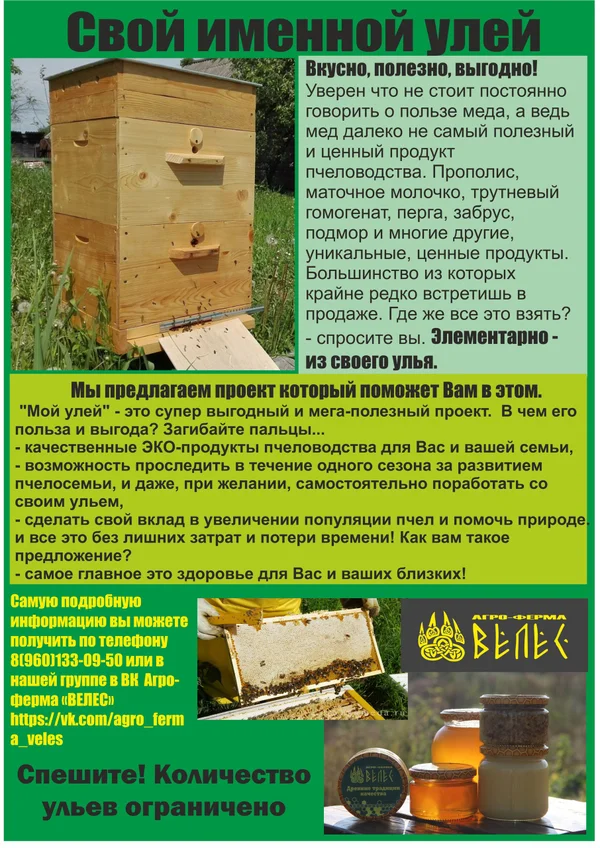 Мед