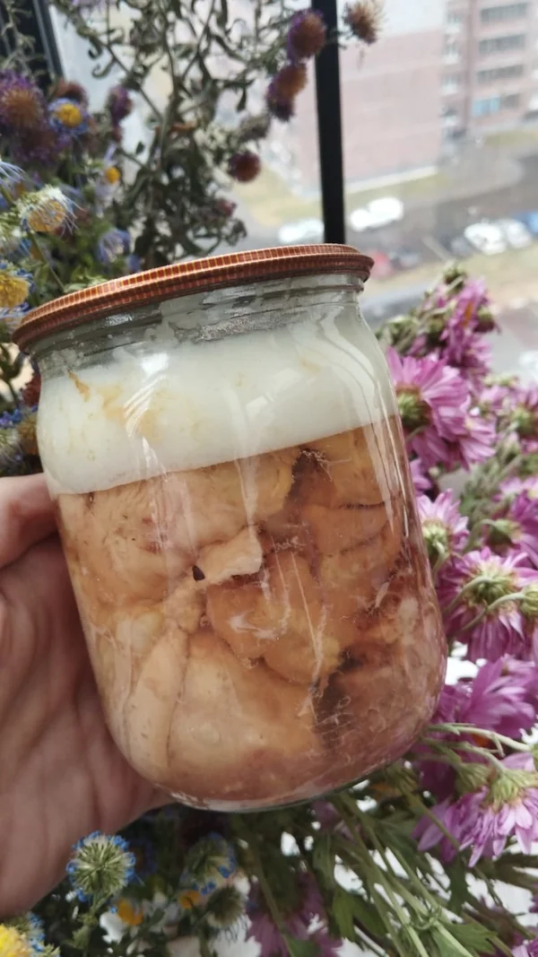 Мясо курочки бройлера