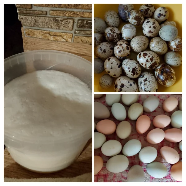 Яйца куриные