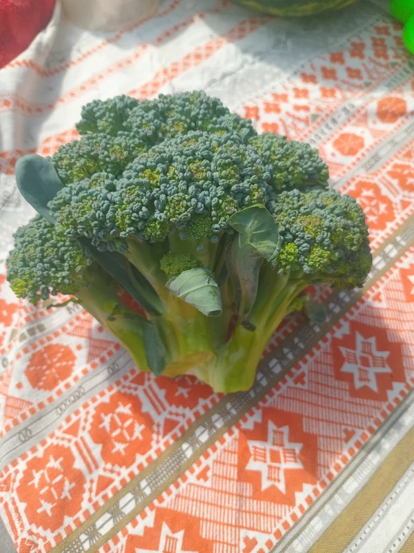 Капуста брокколи