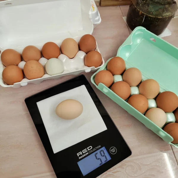 Яйцо куриное домашнее