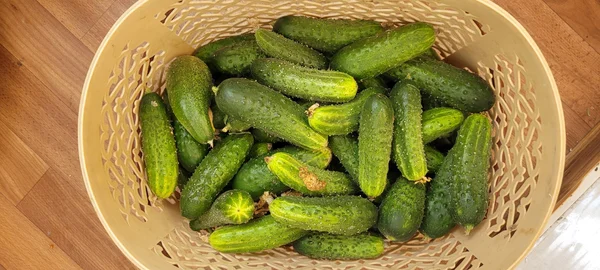 Огурцы