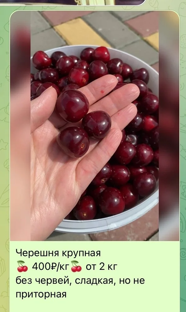 Вишня