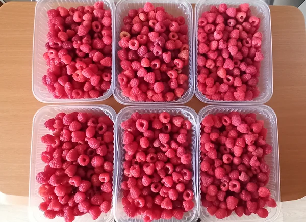 Малина