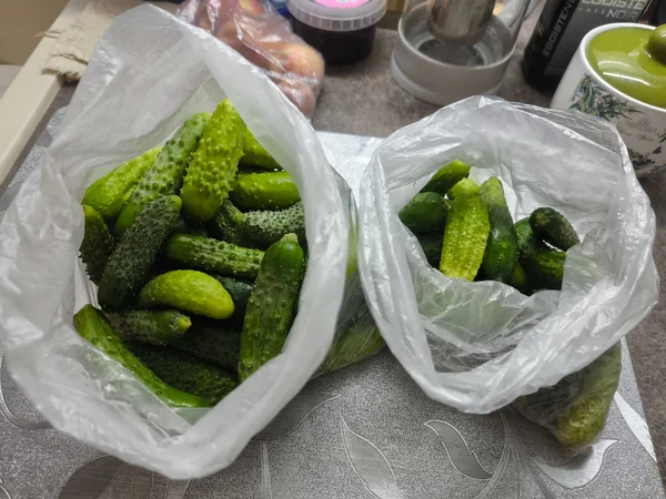 Огурчики для закруток