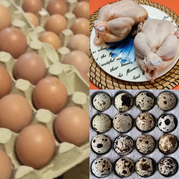 Куриные яйца