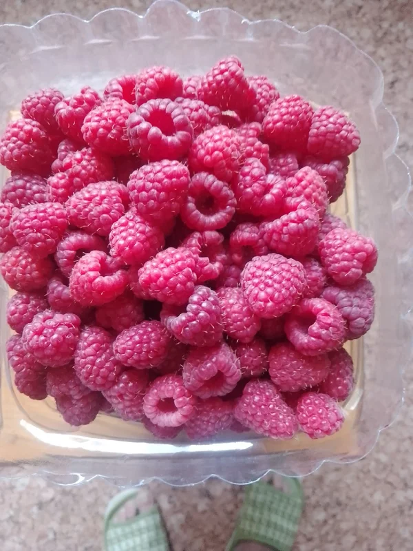 Малина