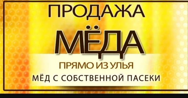 Мед