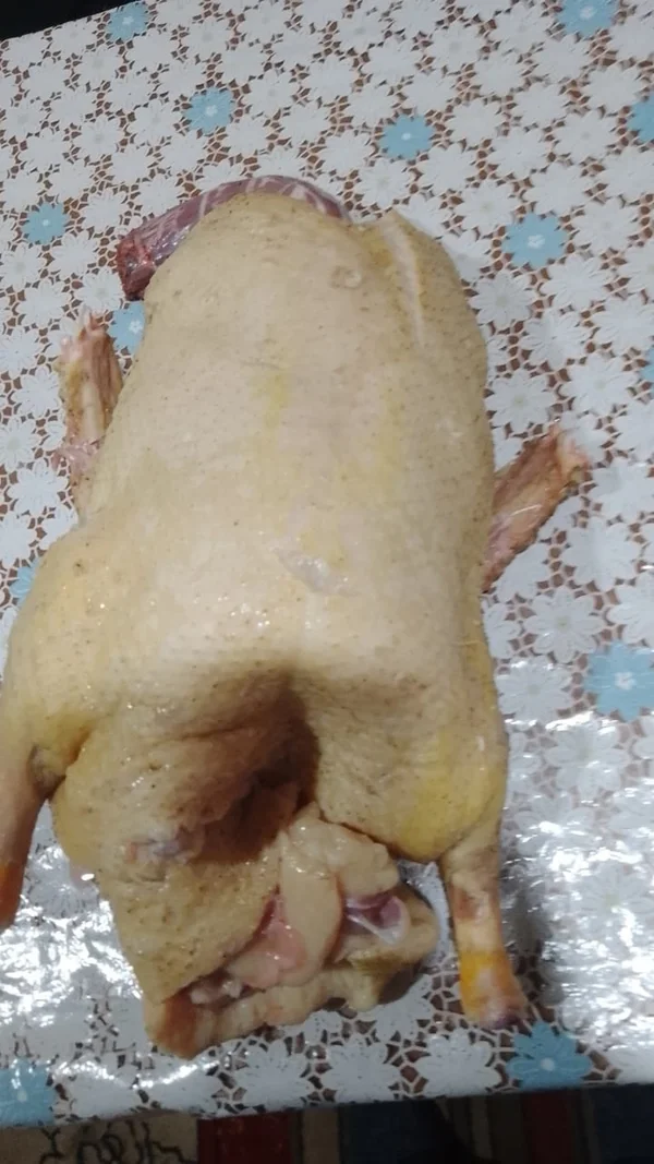 Утка