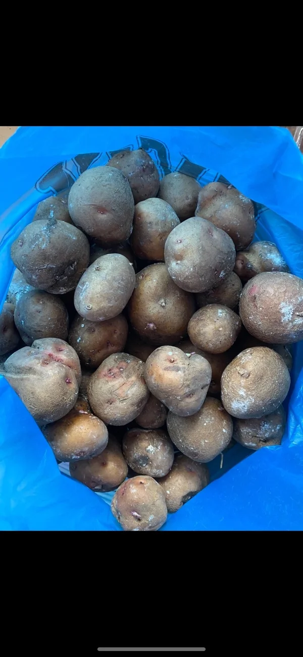 Картошка домашняя