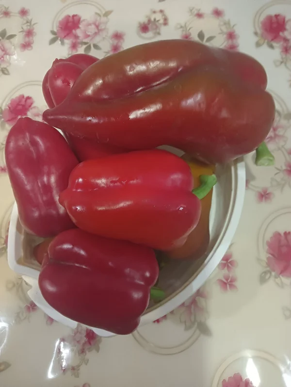 Перец болгарский