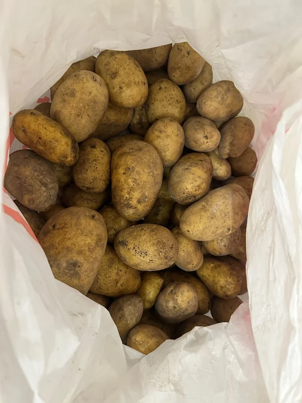Картофель