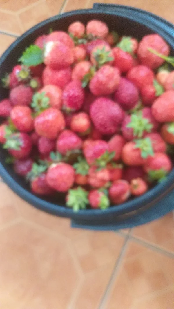 Клубника