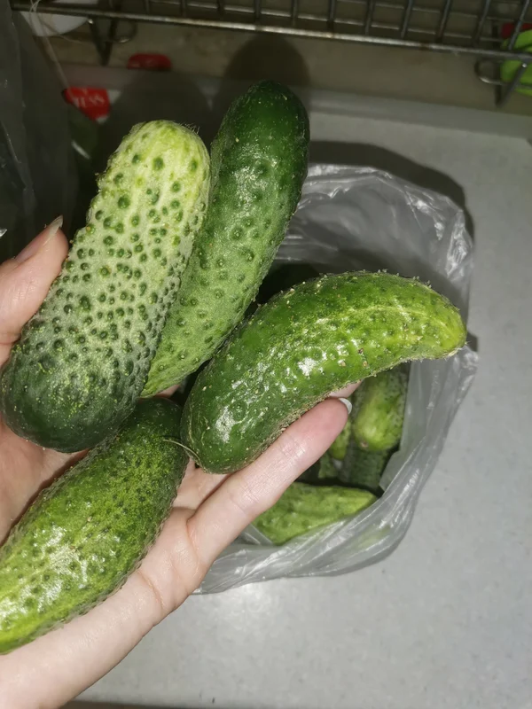 Огурцы