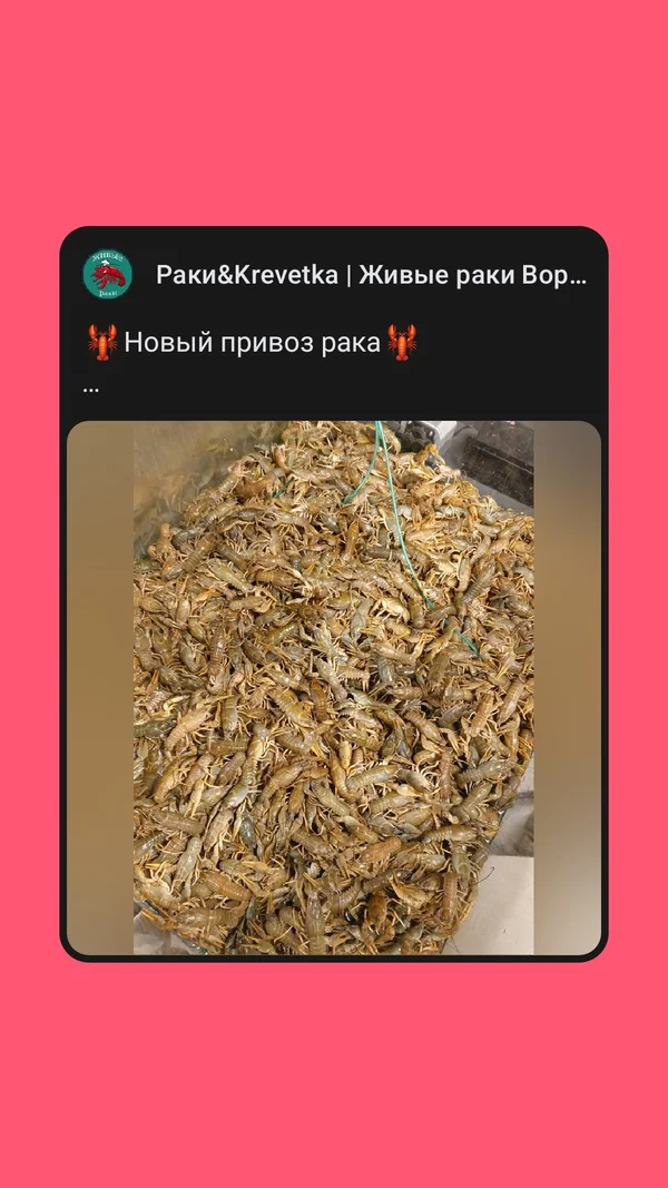 Рак