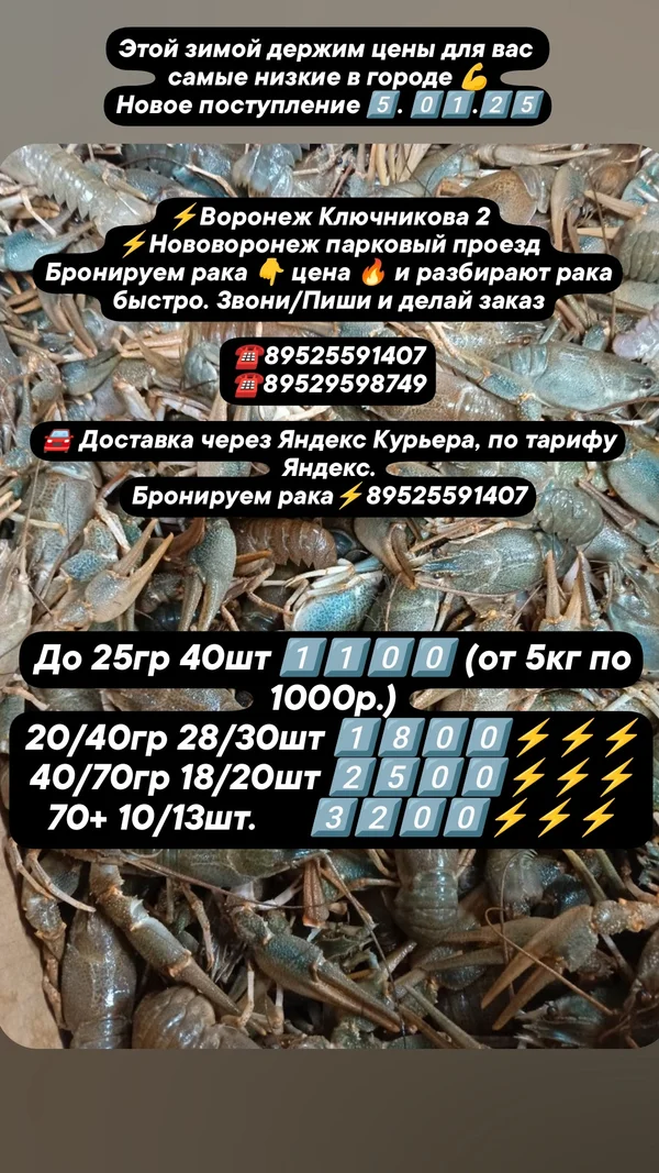 Рак
