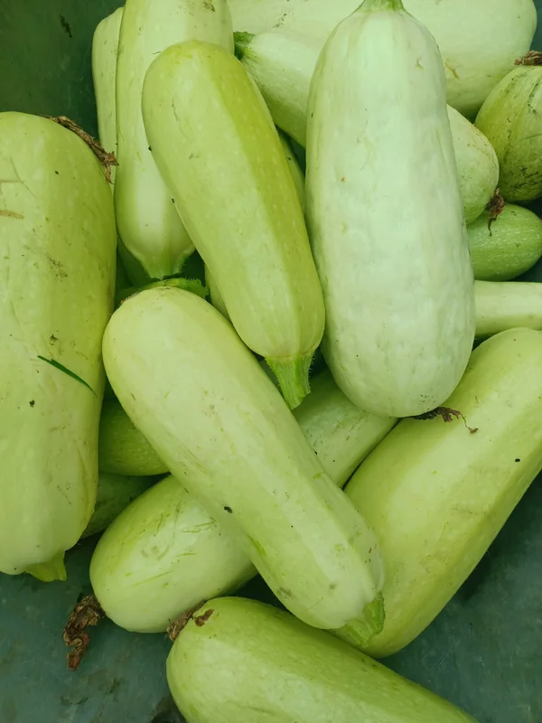 Кабачки