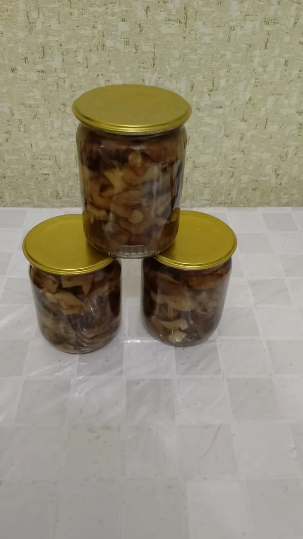 Грибы зеленушки