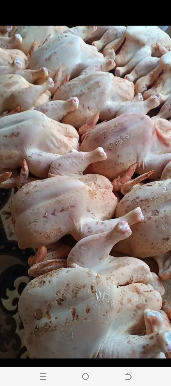 Курочки бройлерные