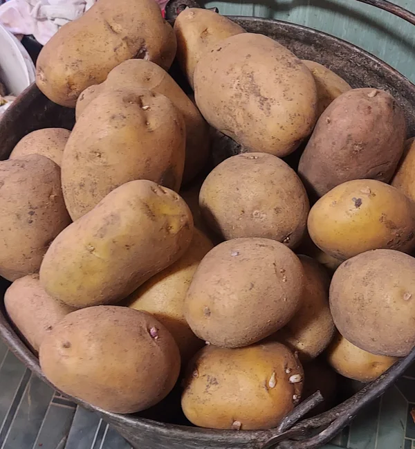 Картофель