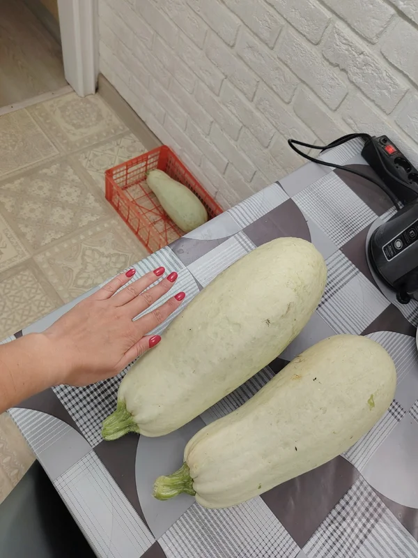 Кабачки