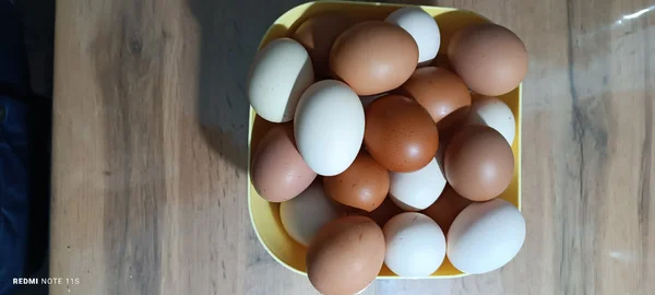 Домашние яйца