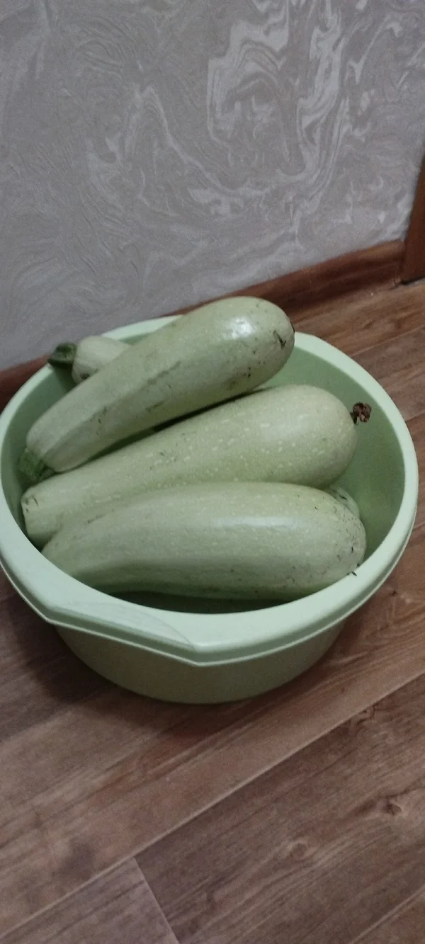 Кабачки