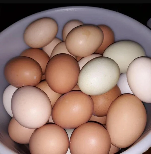 Яйца куриные