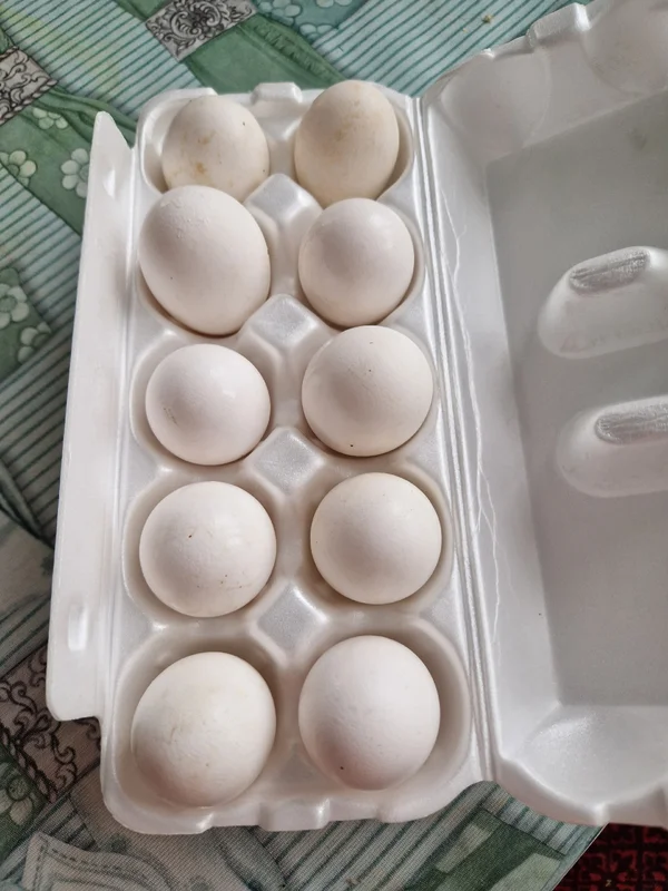 Яйца куриные