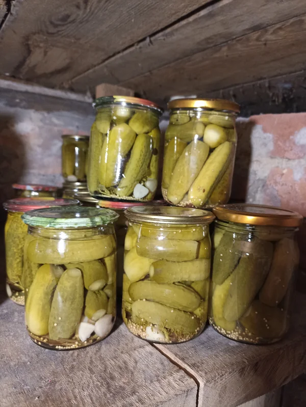 Домашние маринованные огурчики
