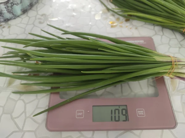 Зелёный лучок