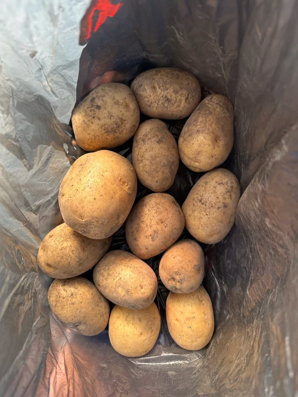 Картофель
