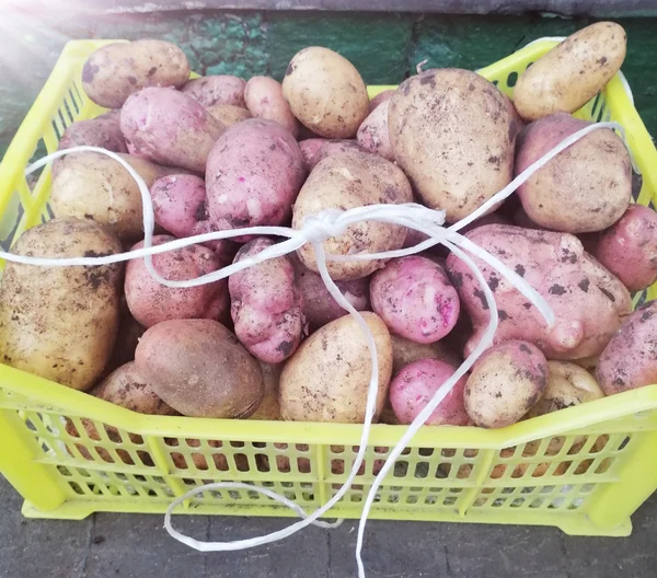 Картофель