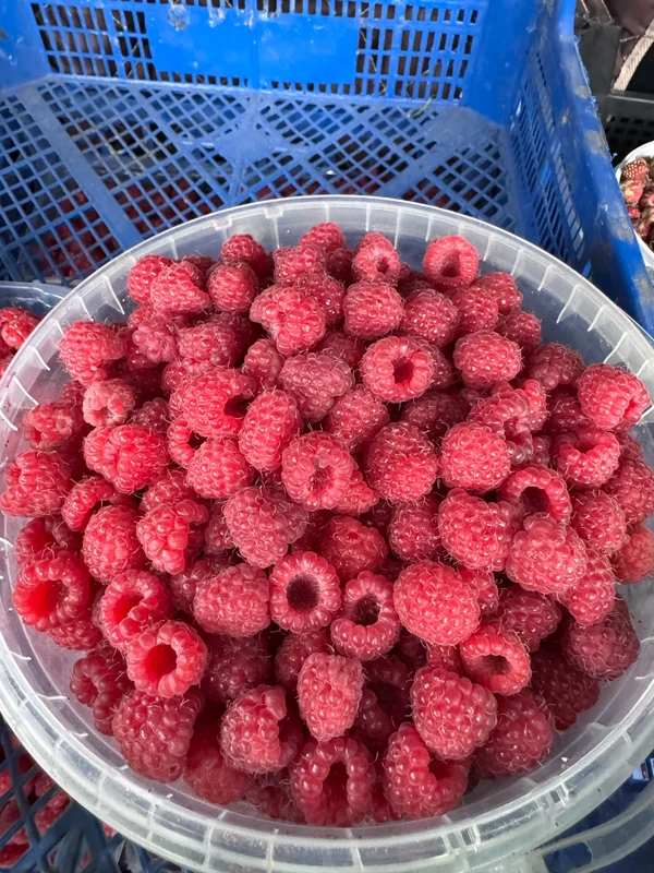 Малинка