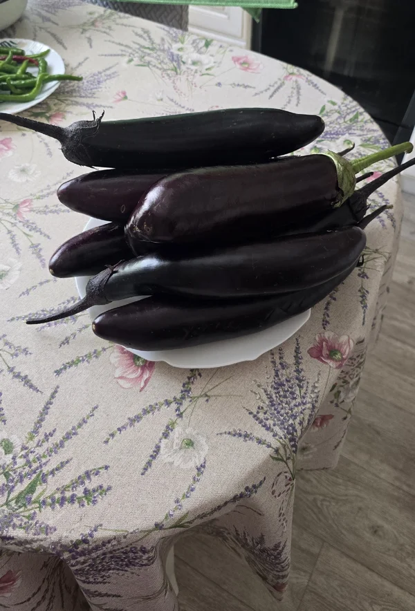 Баклажаны