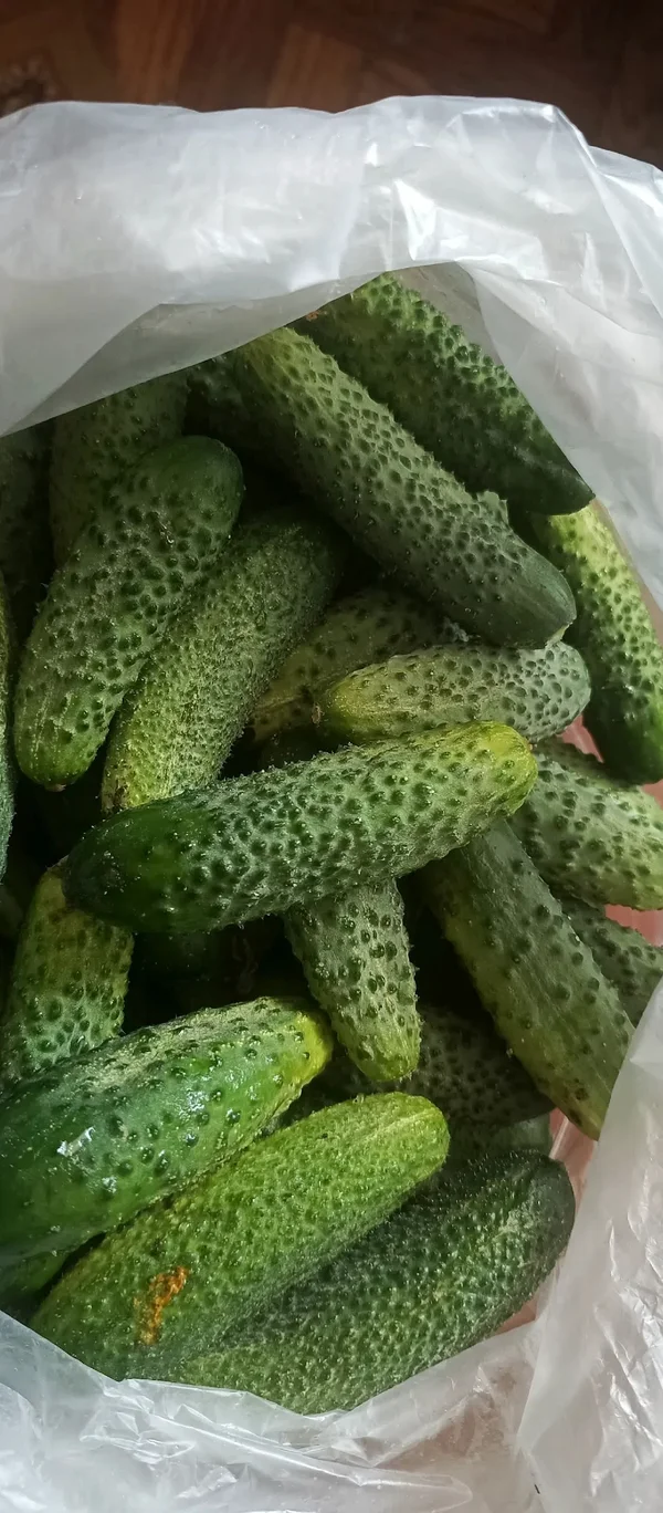 Огурчики