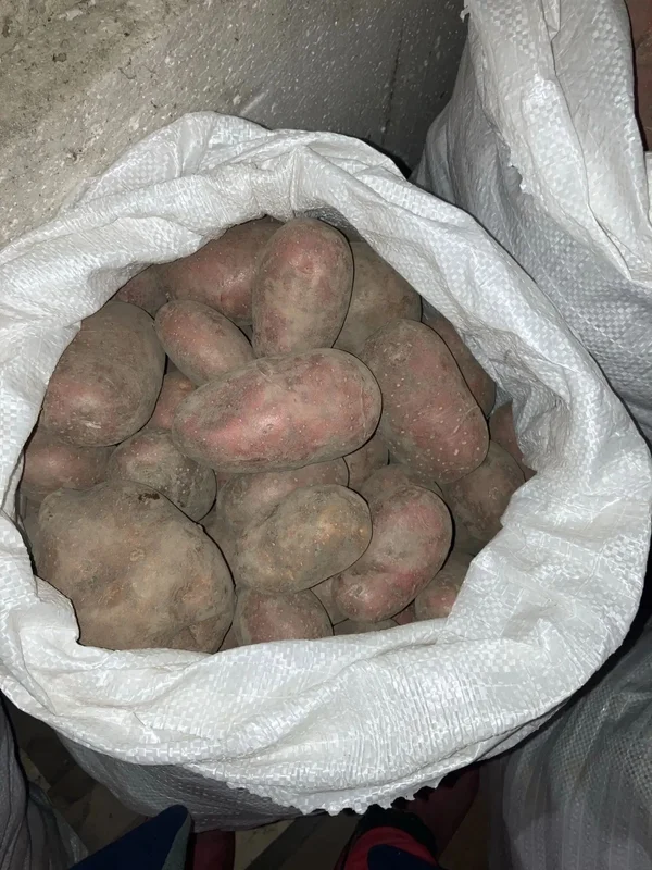 Картофель Коломбо