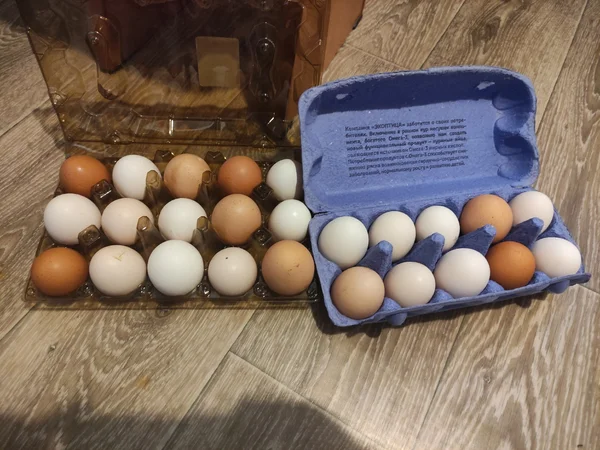 Куриные яйца