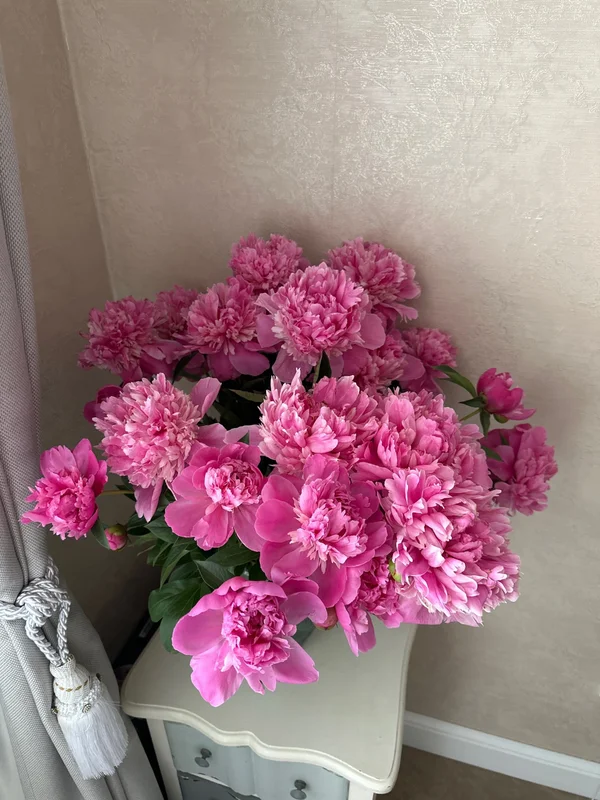 Пионы