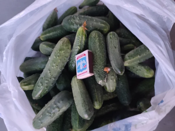 Огурцы