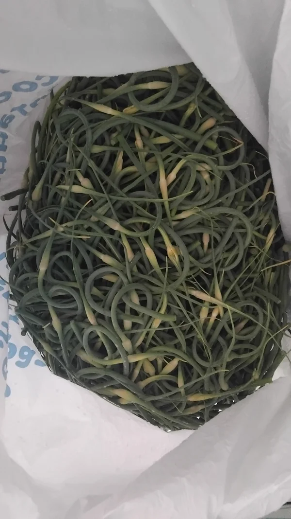 Чесночные стрелки