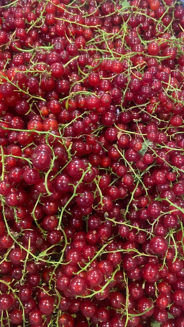 Смородина