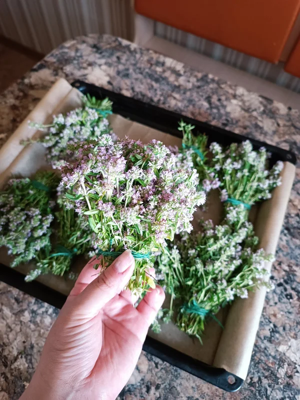 Чабрец